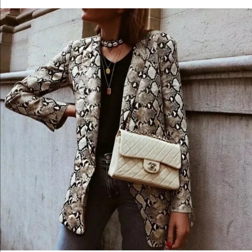 Zara Snakeskin Print Blazer